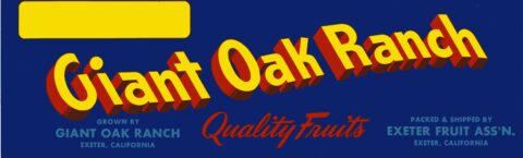 Giant Oak Ranch